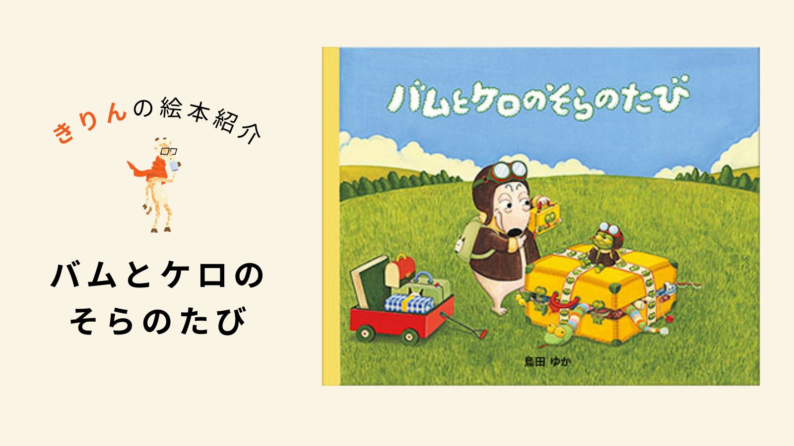 バムとケロのそらのたび【あらすじ、対象年齢、伝えたいこと（ねらい